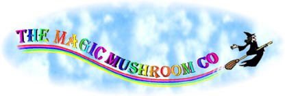 The Magic Mushroom Company