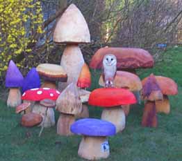 Colours & Shapes of mushrooms