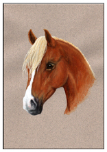 Chestnut Head card design