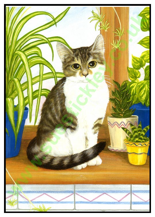 Cat portrait of Little Puss