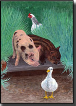 Pigs Making Friends card design