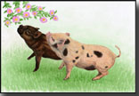 Pigs Smelling Flowers card design